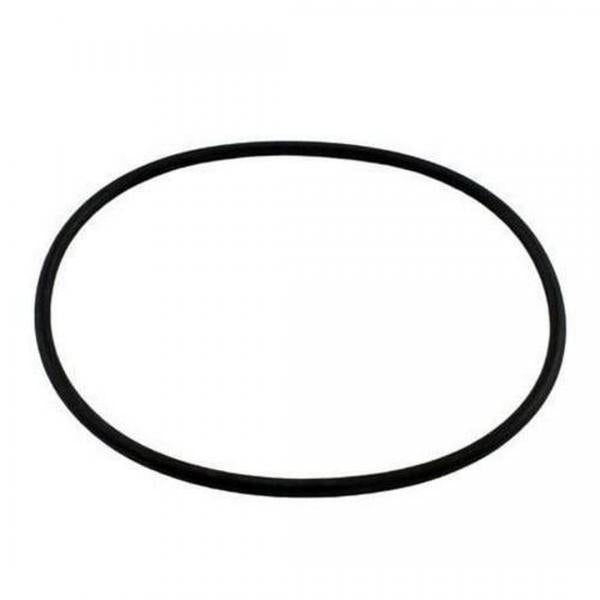 HAYWARD® STYLE, PENTAIR® STYLE LEAF CANISTER ORING